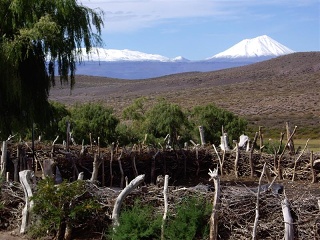 Barrancas - Malargue (4)