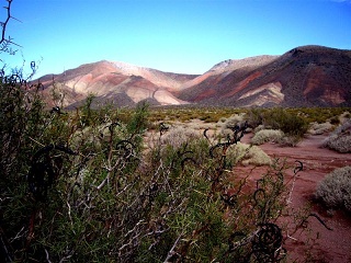 Barrancas - Malargue (6)