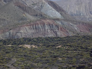 Barrancas - Malargue (8)