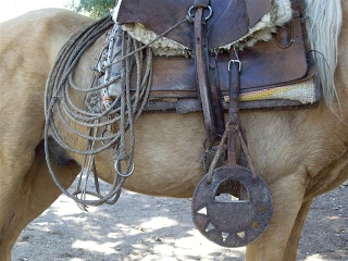El Manzano - Paard