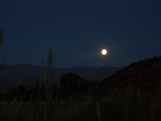 El Manzano - Volle Maan
